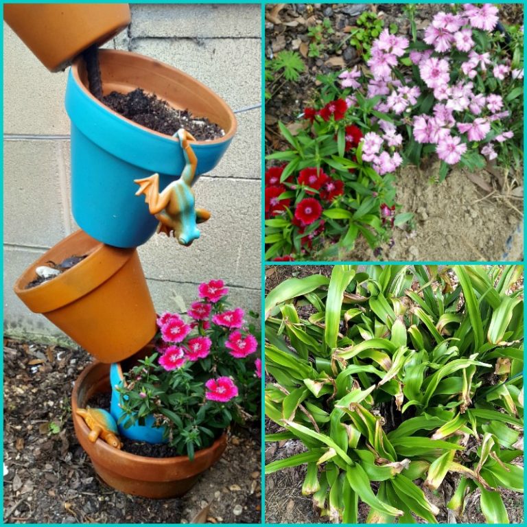 Spring has Sprung ~ Gardening Plans - Teadoddles